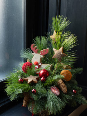 Aranjament Renul Moșului